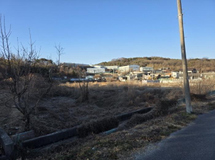 성주군 선남면 선원리 417