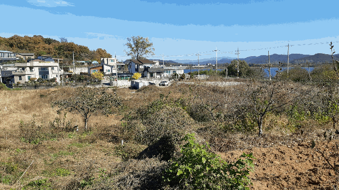 본건 번호 (4, 5) 토지 전경