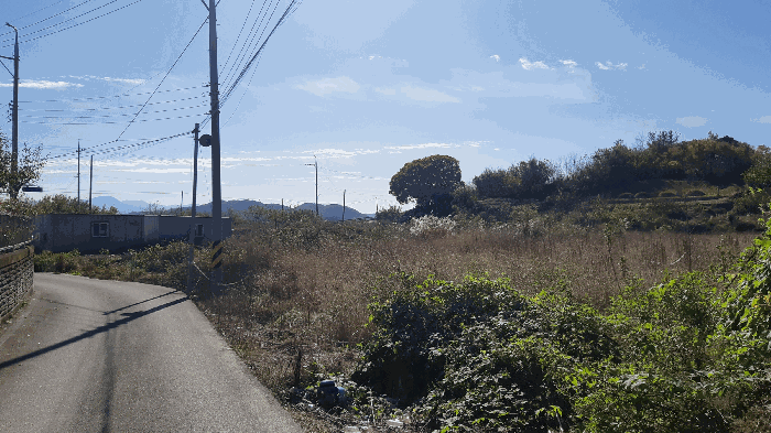 본건 번호 (5) 토지 전경4