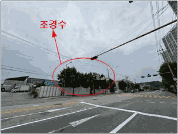 [본건 전경 및 조경수]
