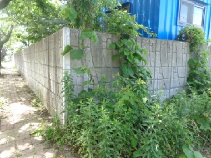 - 소재지 1(