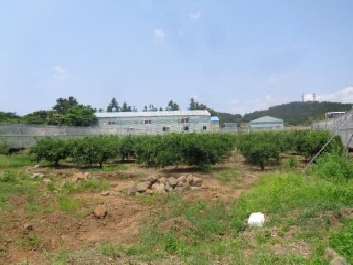 소재지 2.(서