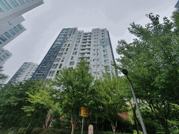 613동