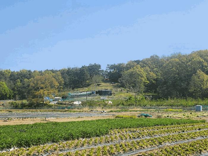 본건남측전경