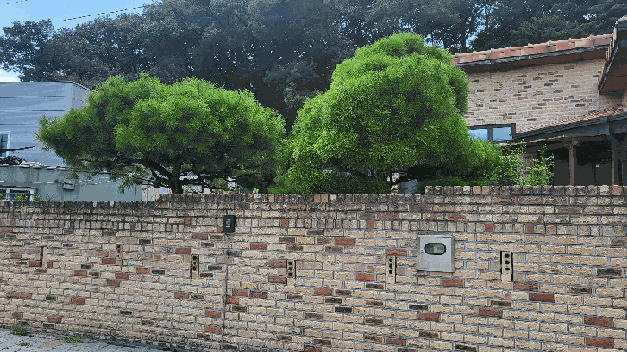 일련번호 2) 소재 수목