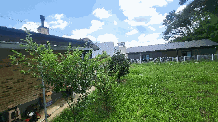 일련번호 1) 소재 수목