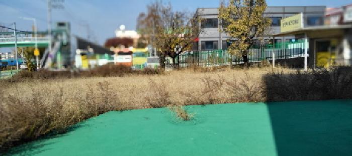 목록5 답 전경