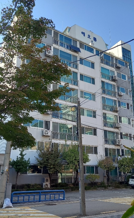 본건 전경