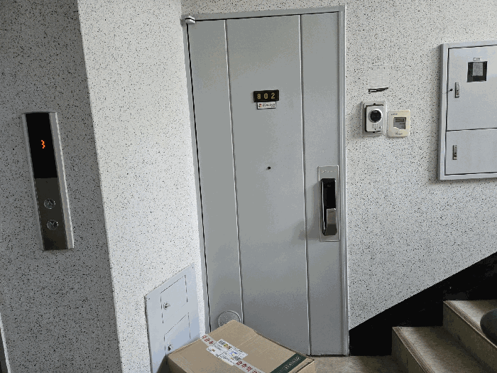 본건 기호3 샛