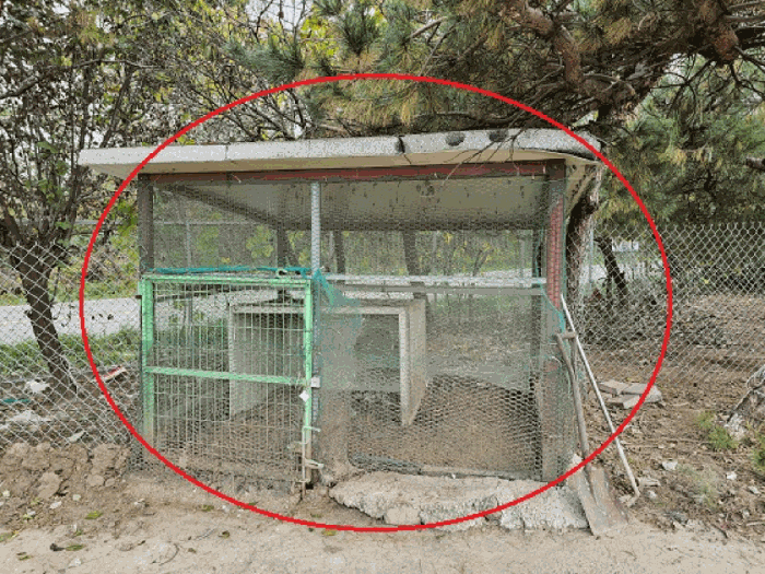 본건 토지 지상 타인소유의 제시외건물(계사)