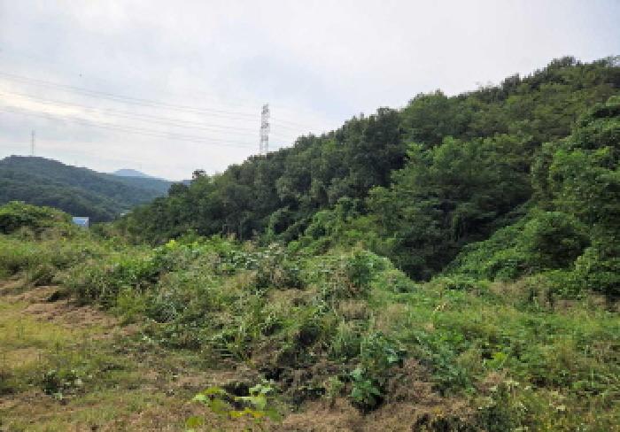 상동