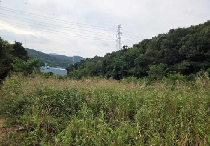 상동