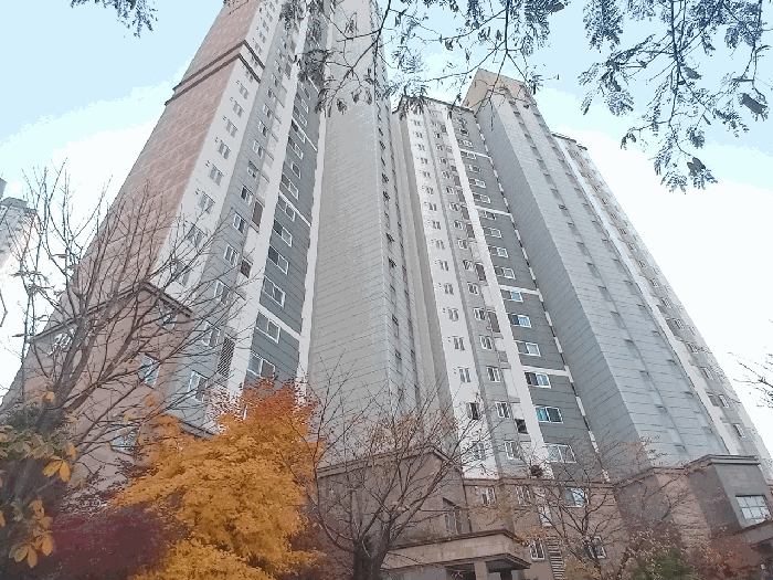 대상물건 전경