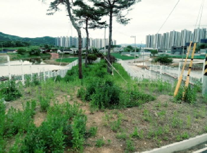 * 목록7. 일