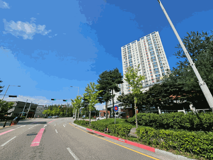 본 건 주 위