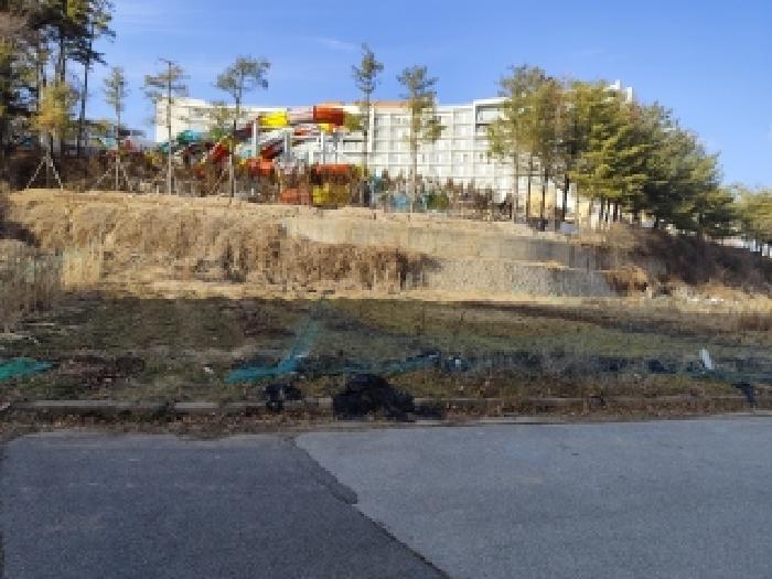 본건 부동산