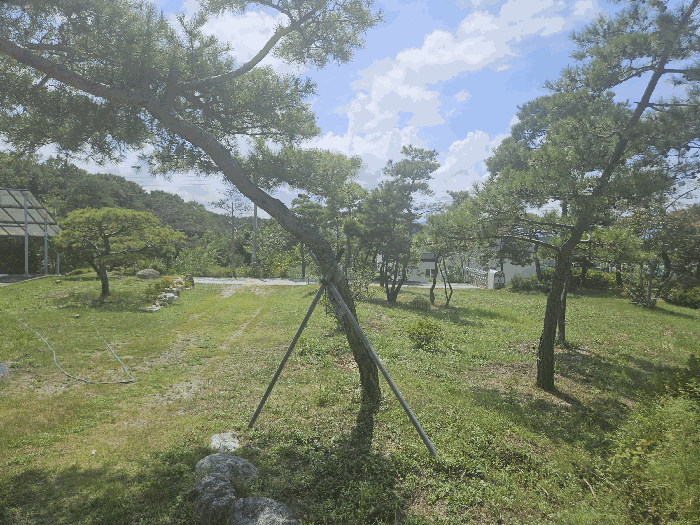 본건 및 제시외 관상수