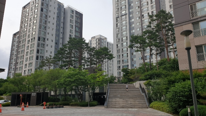 단지내 전경