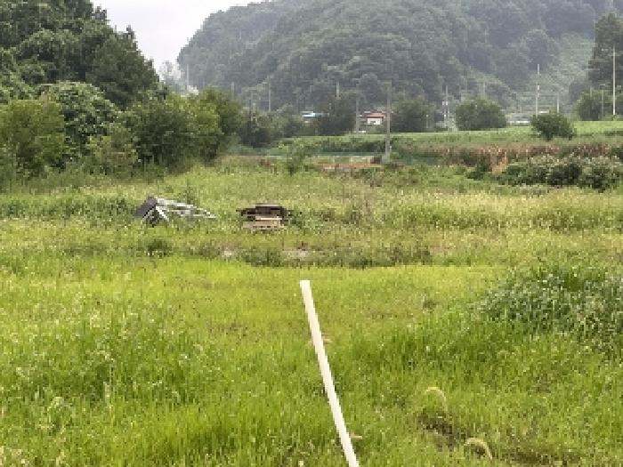본건4 6