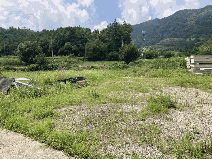 기호 6) 전경