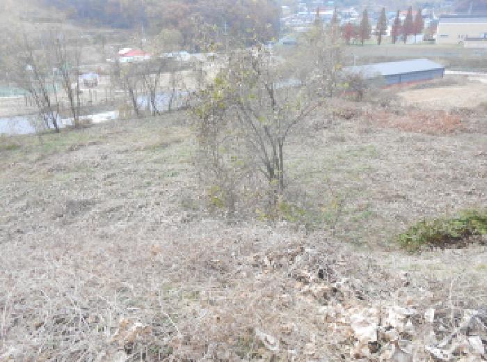 목록4 전경