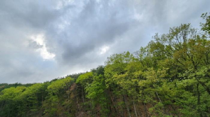 부동산의 표시 5.
