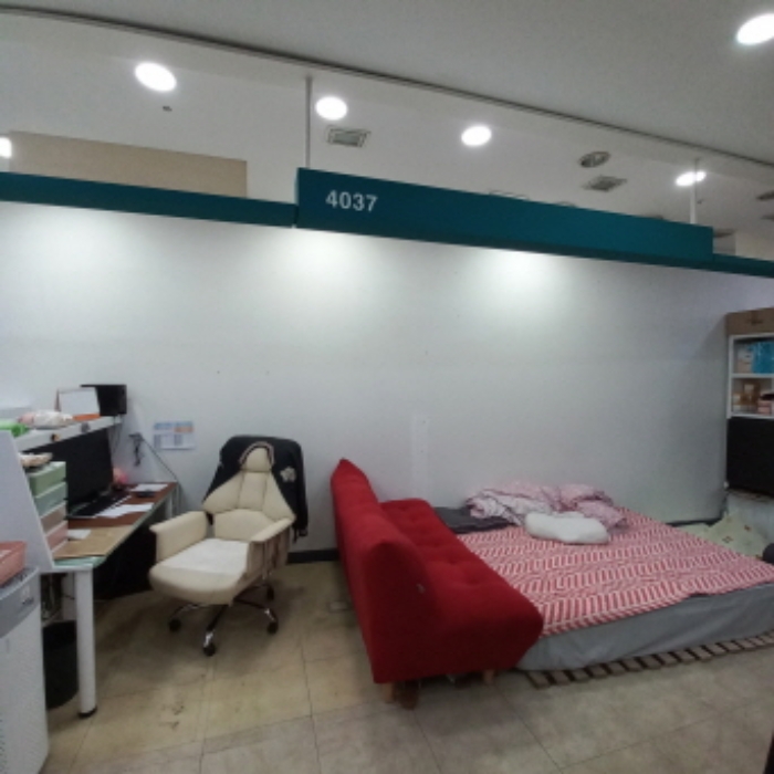 437호(4037로 표시)