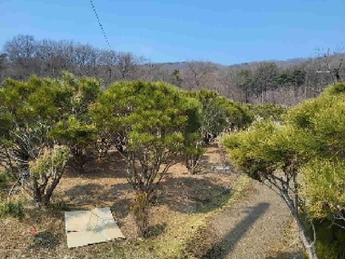 목록5현황