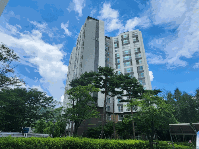 판교원마을 1111동 전경