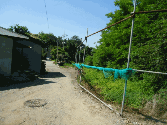 용성리 530-4, 동소 530-13 접면도로 상황