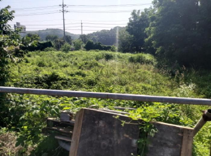 * 본건 목적물 1. 전경