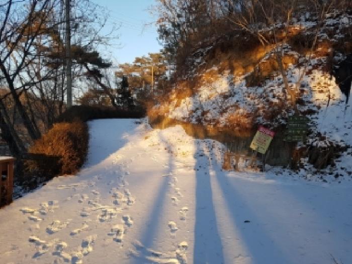 제시부동산 목록18번