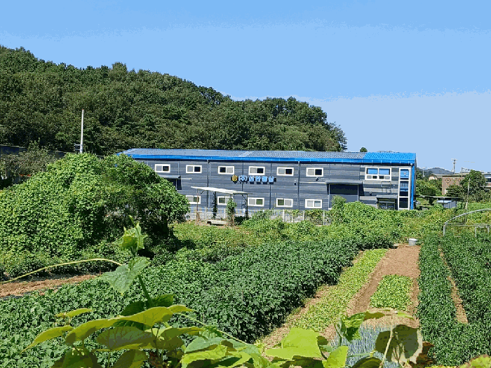 본건 원경