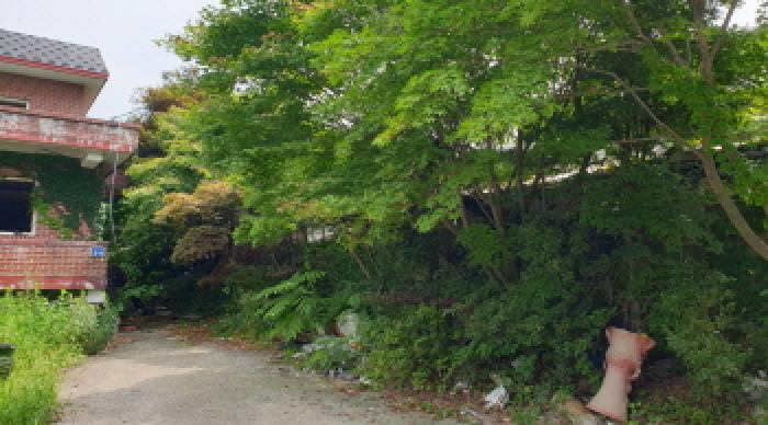 목록1. 모습(
