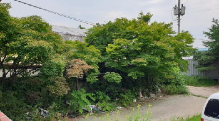 목록1. 모습(