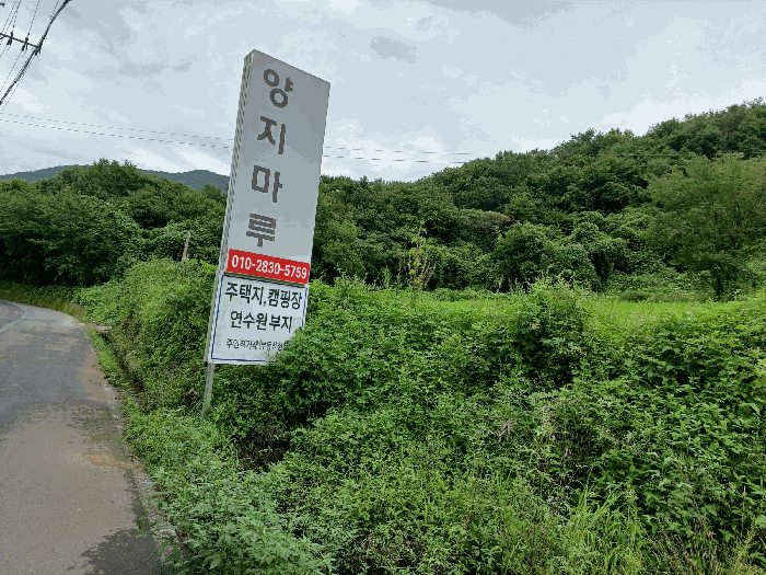본건인근에서 촬영