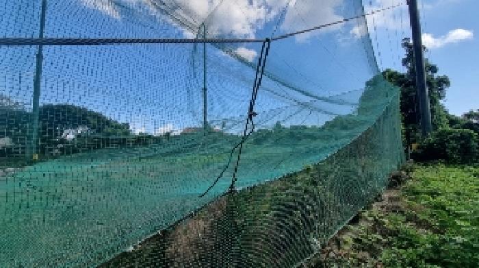 소재지1(세화리 949) 전경1