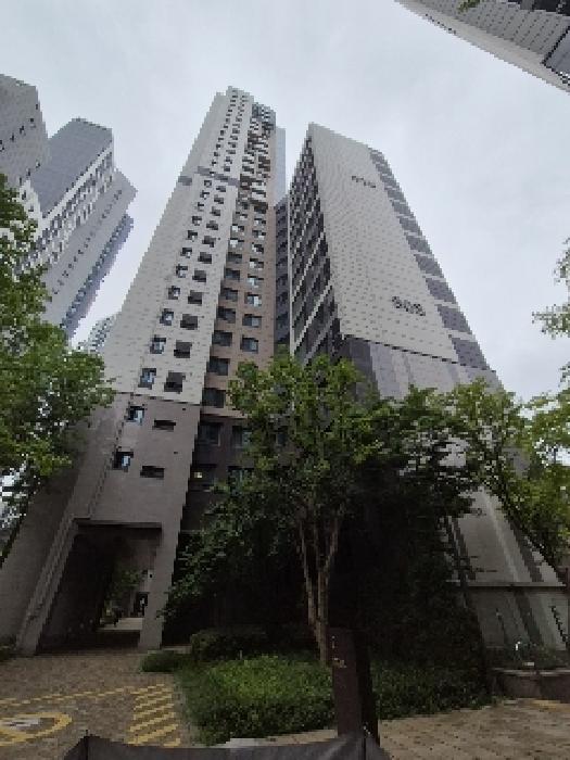808동 전경