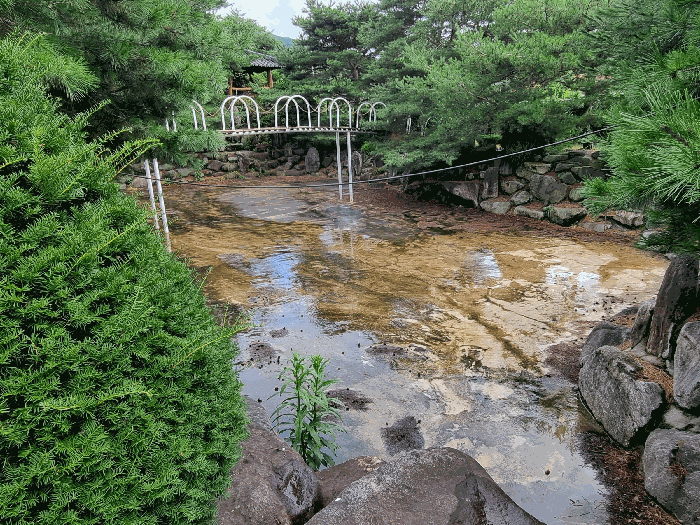 연못 및 다리