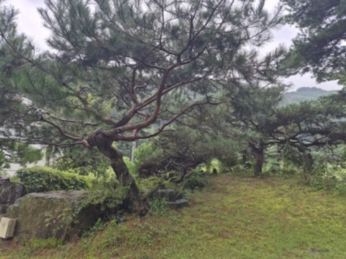 목록 1 제시외