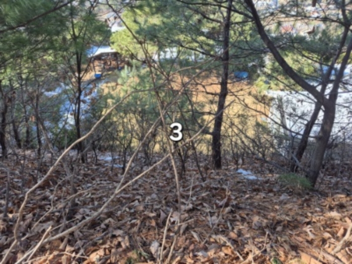 목록 3