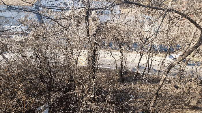 기호(5)