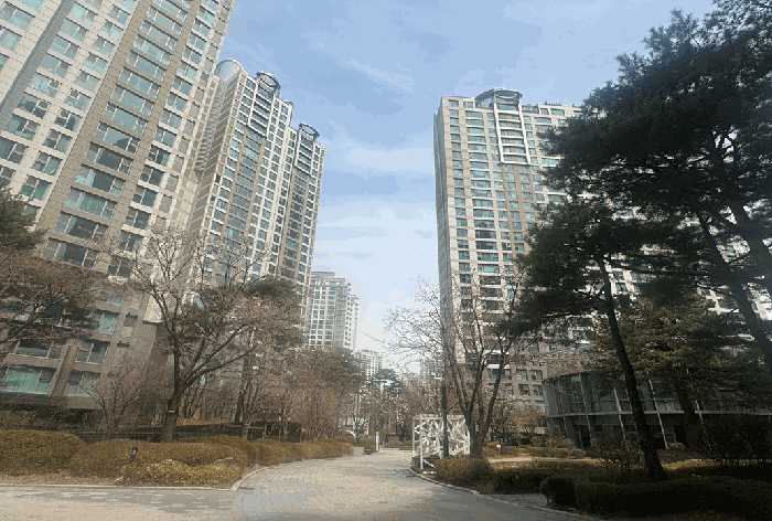 대상물건 소재 단지전경