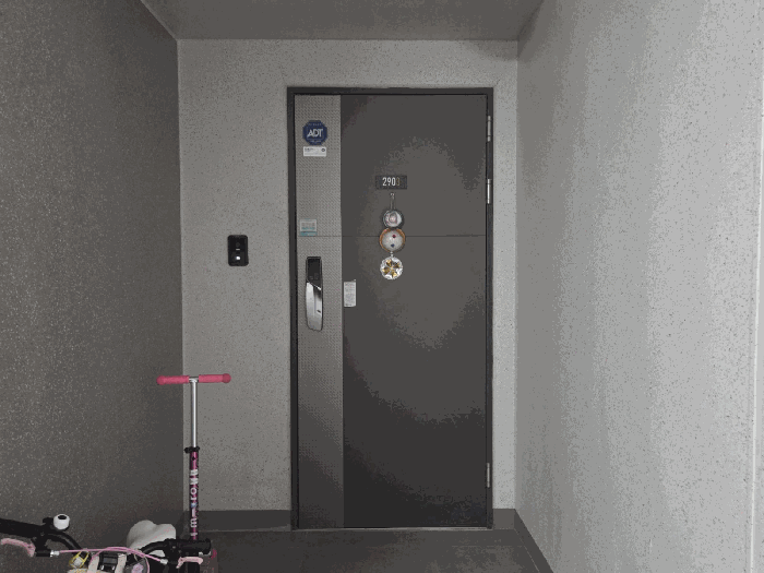 대상호(2903