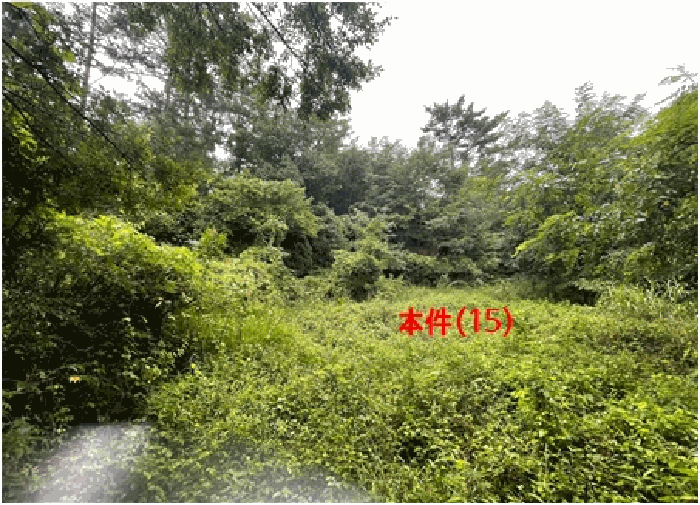 본건전경8)
