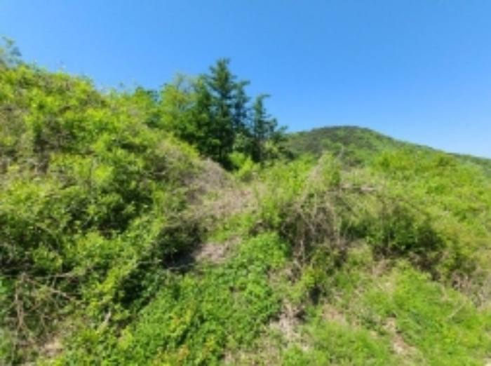 목록6 임야
