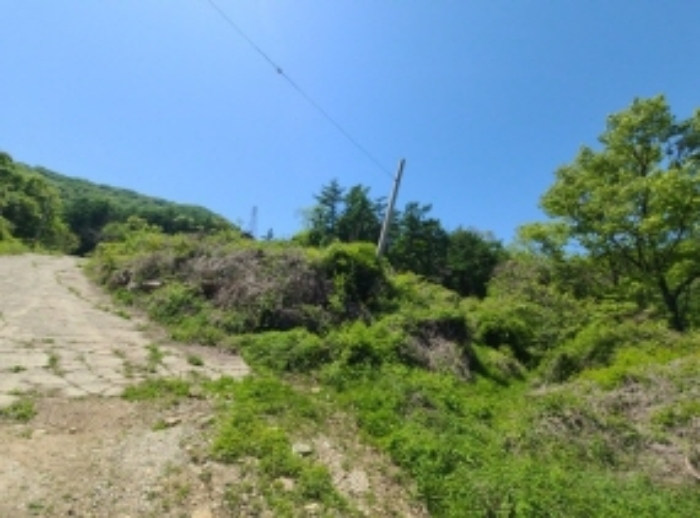 목록2 임야