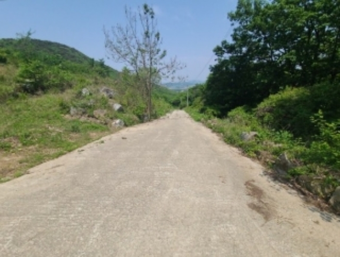 목록9 임도 내