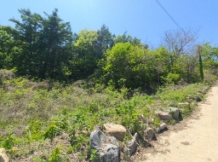 목록8 임야