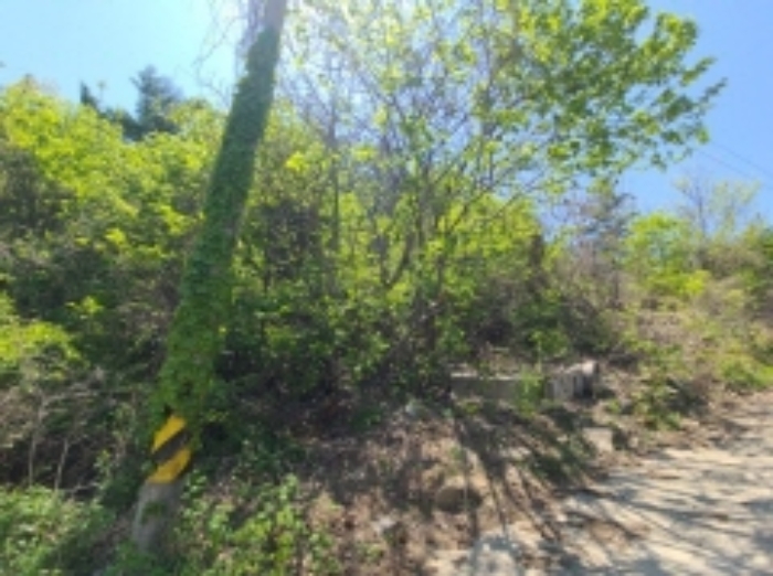 목록8 임야